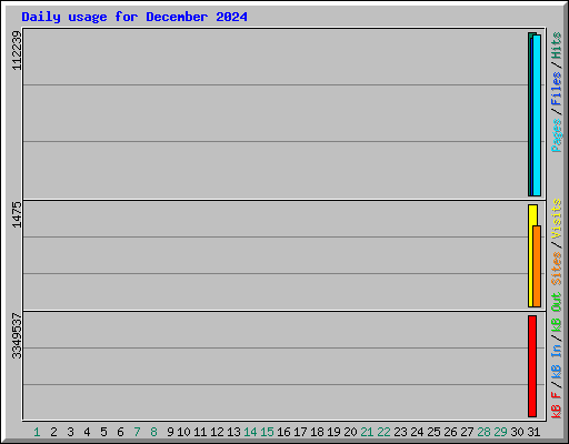 Daily usage for December 2024