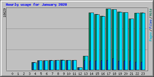 Hourly usage for January 2020