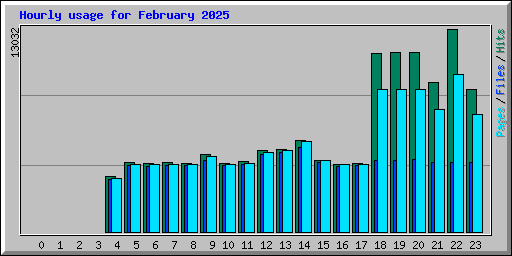 Hourly usage for February 2025