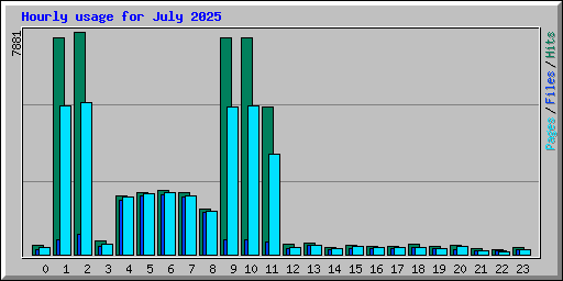 Hourly usage for July 2025
