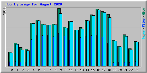 Hourly usage for August 2026